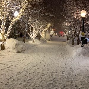 Meet your Posher, Michael